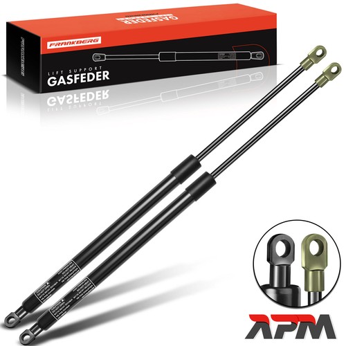 Gas ammortizzatore cofano - 2x,